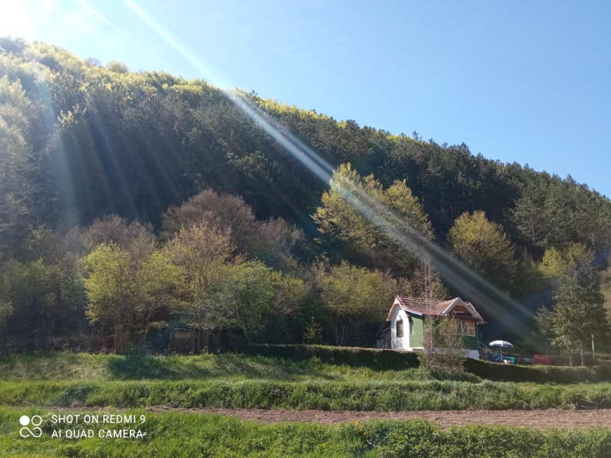 Vikendica Vrelo Pirot Zewnętrze zdjęcie